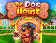 the_dog_house